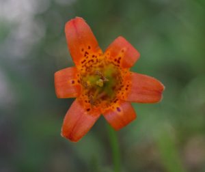 dsc_0886_503